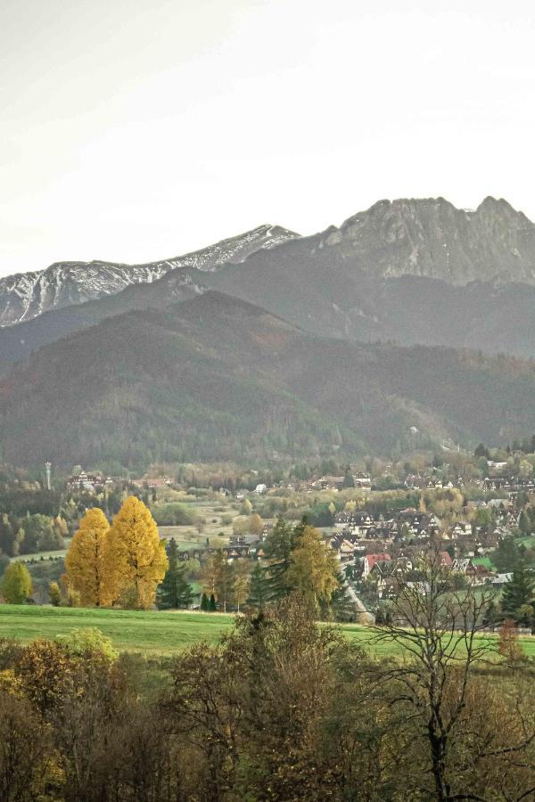 Willa Grg Zakopane Bagian luar foto